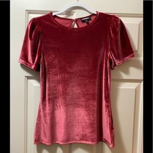 Express Pink Velvet Top